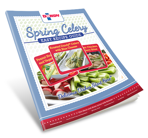 Spring Celery Easy Recipe Guide
