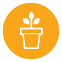 plant in a pot icon