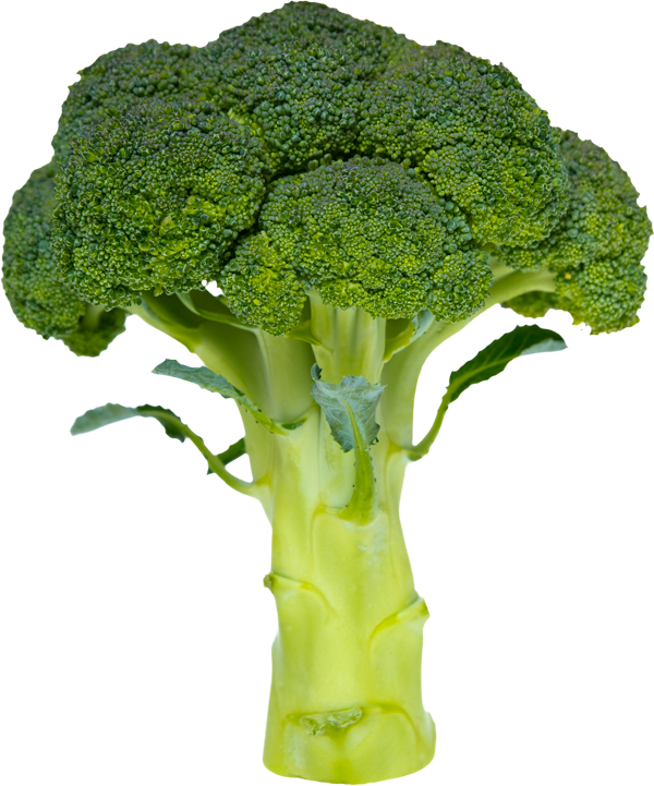 broccoli