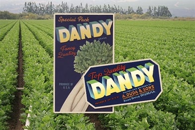 Dandy Products