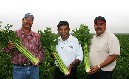 Family farming