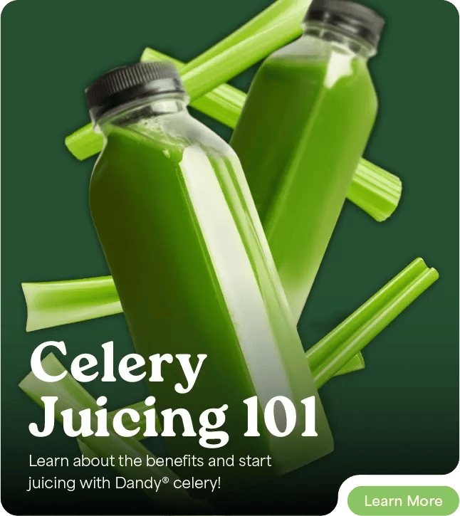 Celery Juicing 101: Learn about the benefits and start juicing with Dandy celery!