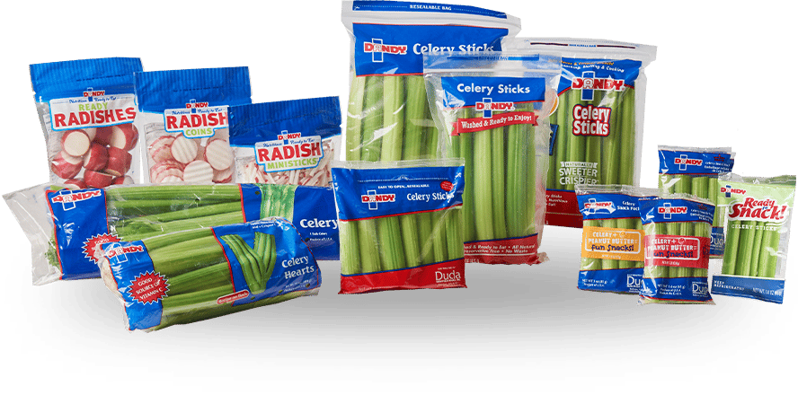 collection of Dandy products