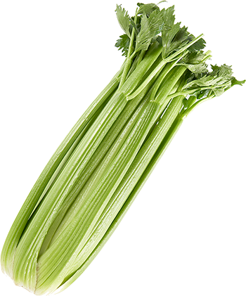 celery