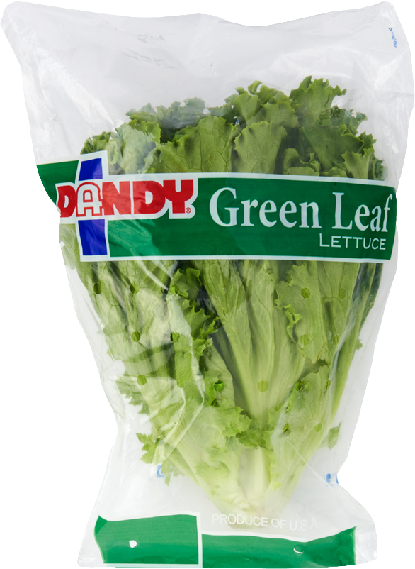 Green Leaf Lettuce