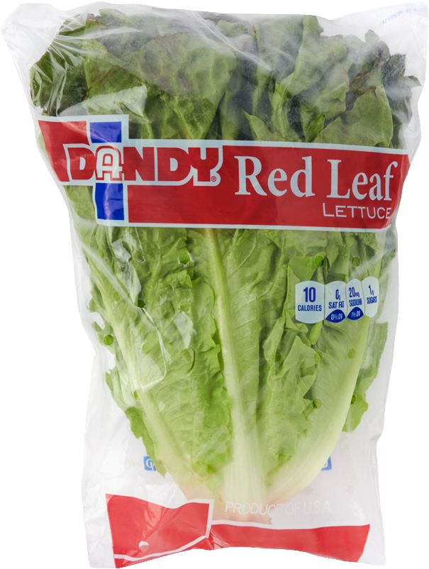 Green Leaf Lettuce