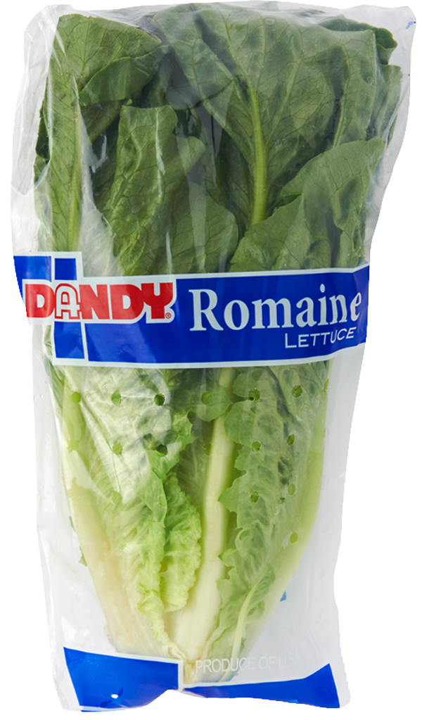 p-main-romaine