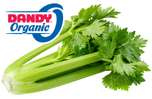 Organic celery