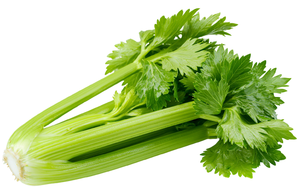 whole celery