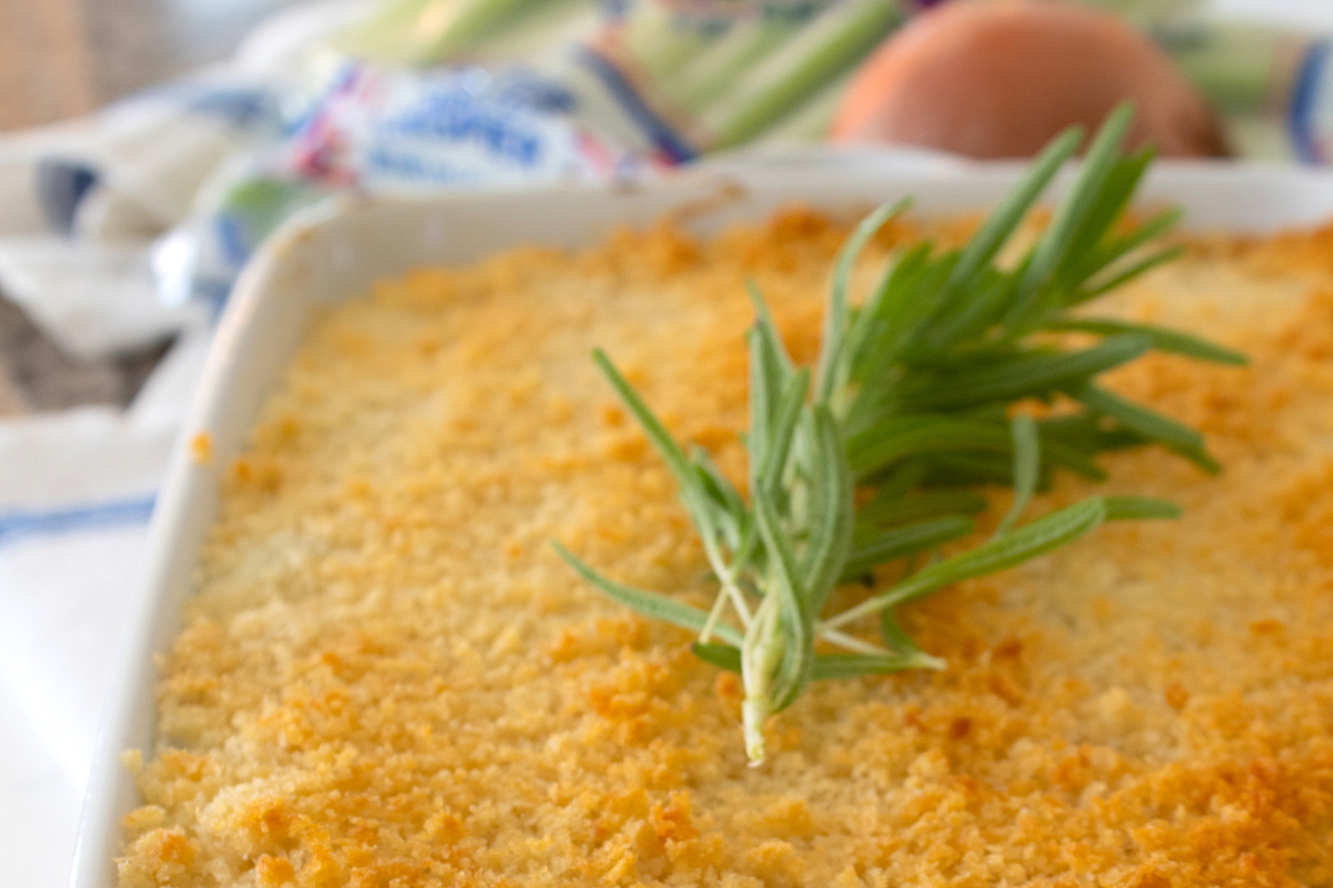 Celery Gratin - 1