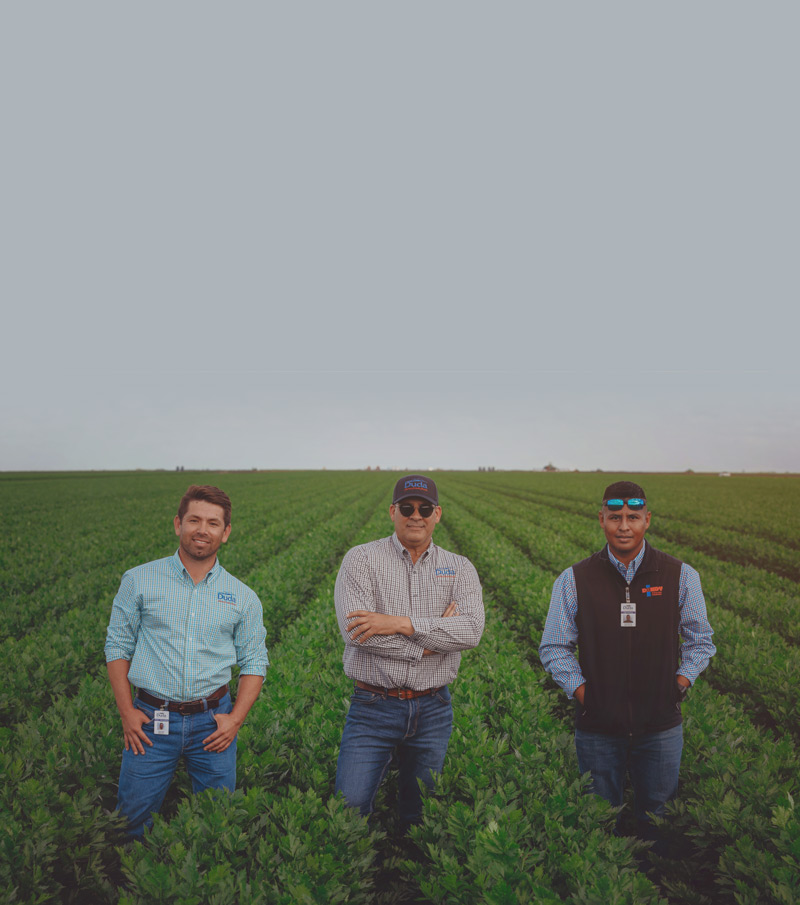 team standing in a field