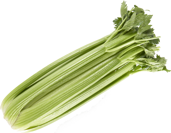 stalk of celery