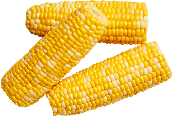 sweet corn