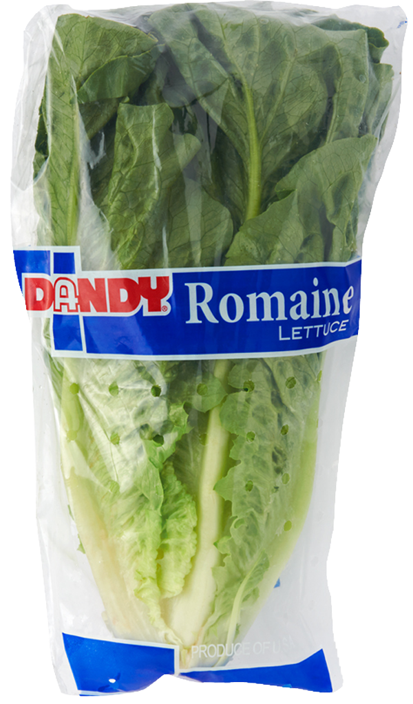 p-main-romaine